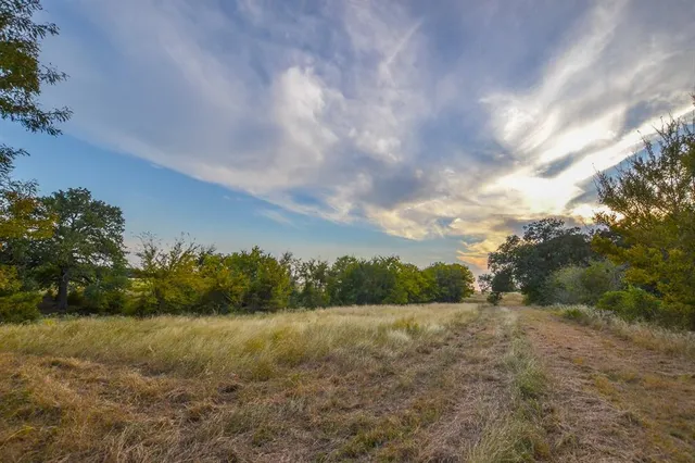a backyard of a house with large trees