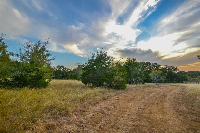 a view of a big yard next to a yard