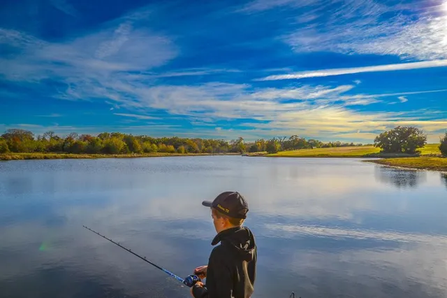 an aerial view of houses covered in trees