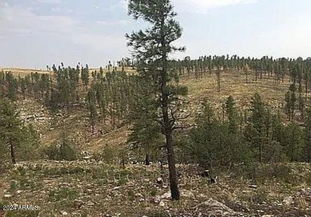 4675 Lookout Point Road, Unit 117 Happy Jack, AZ 86024 - Photo 4 of 13 Image1