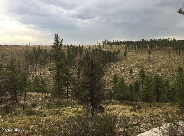 4675 Lookout Point Road, Unit 117 Happy Jack, AZ 86024 - Photo 6 of 13 Image3