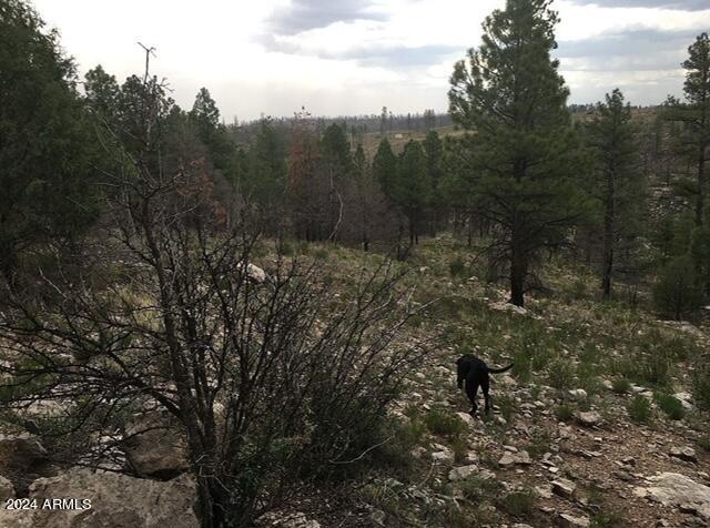 4675 Lookout Point Road, Unit 117 Happy Jack, AZ 86024 - Photo 7 of 13 Image4