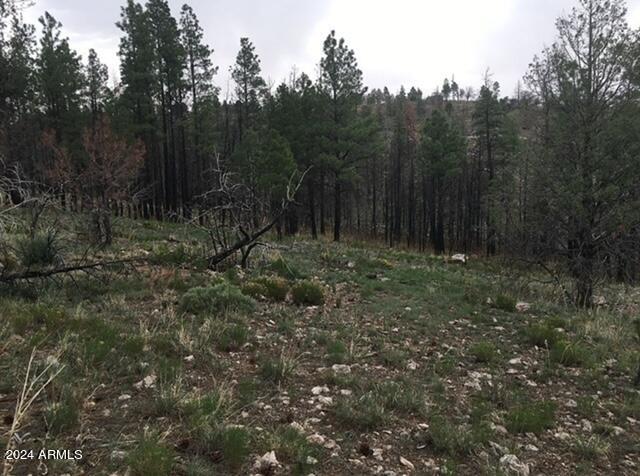 4675 Lookout Point Road, Unit 117 Happy Jack, AZ 86024 - Photo 8 of 13 Image5