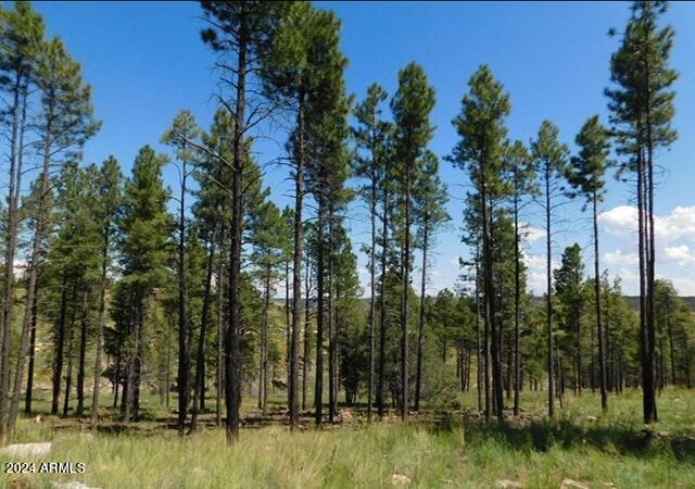 4675 Lookout Point Road, Unit 117 Happy Jack, AZ 86024 - Photo 9 of 13 Image6