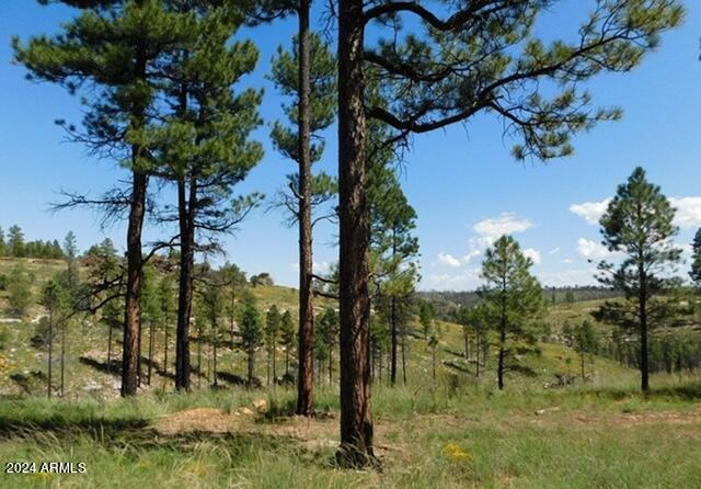 4675 Lookout Point Road, Unit 117 Happy Jack, AZ 86024 - Photo 10 of 13 Image7