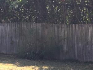 511 Temple Road Ladson, SC 29456 - Photo 14 of 14 Part of Fence