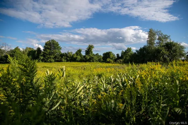 $8,000 | 314 Schoolhouse Road, Ghent, NY 12075