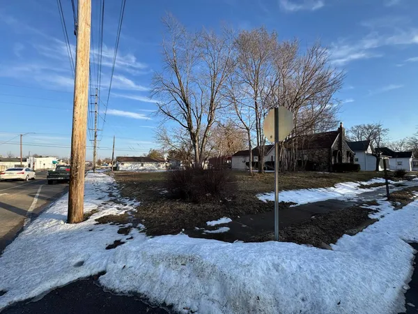 a view of a tree in the middle of a yard