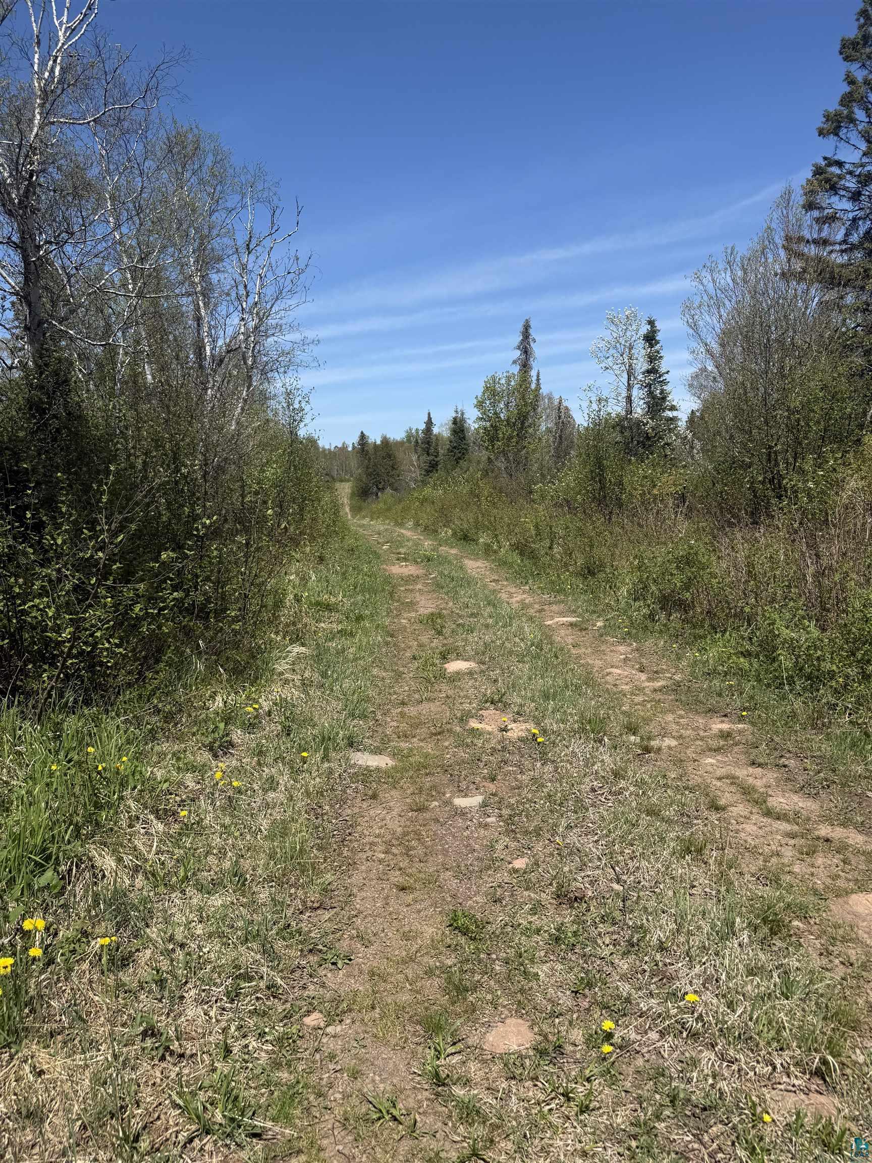 Tbd Crown Creek Road Finland, MN 55603 - Photo 10 of 14 Road off Crown Creek Spur Rd