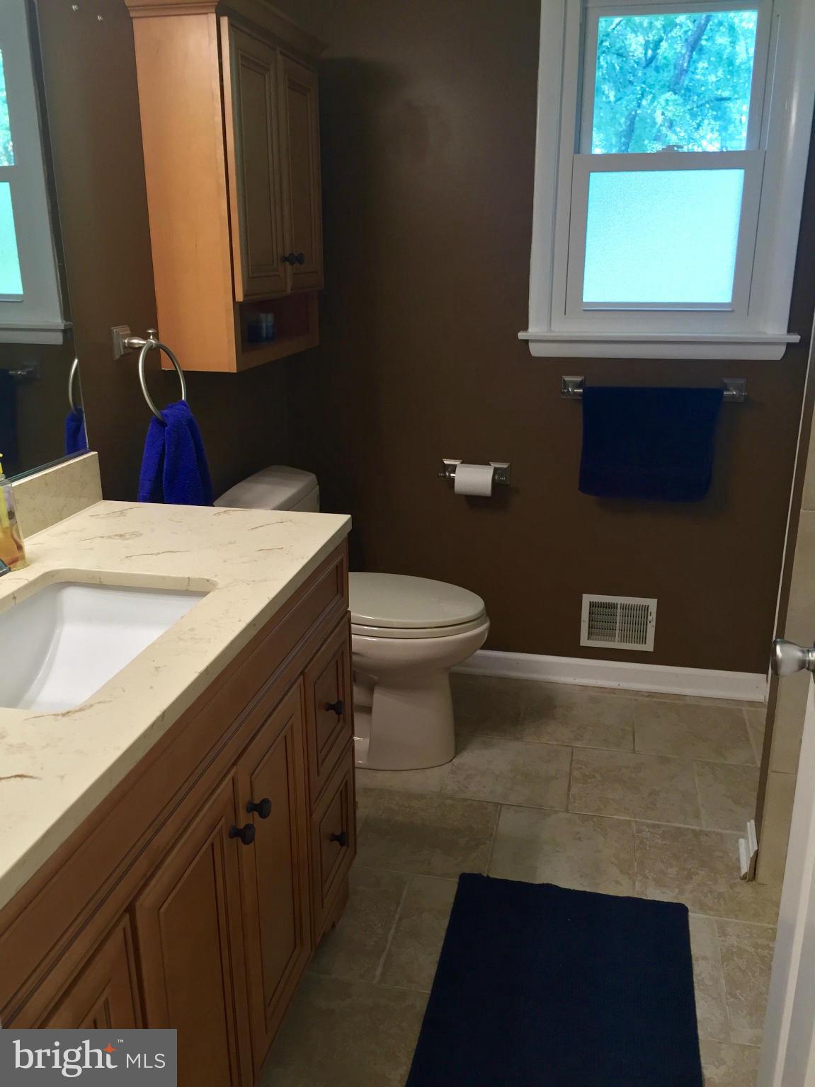 2914 York Manor Road Phoenix, MD 21131 - Photo 20 of 28 Full Bath #2 With Vanity Sink