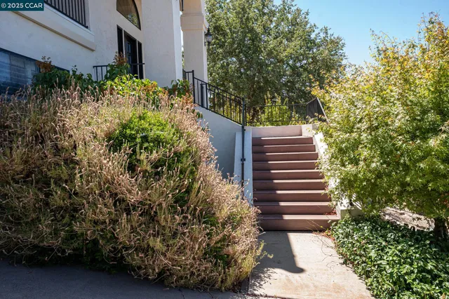 a view of a back yard of the house