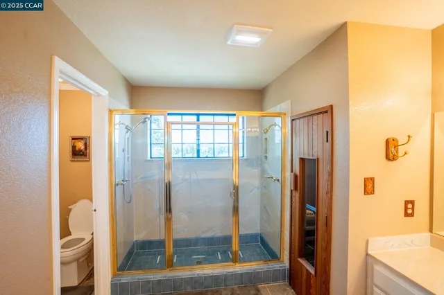 a plant that is sitting in a garden