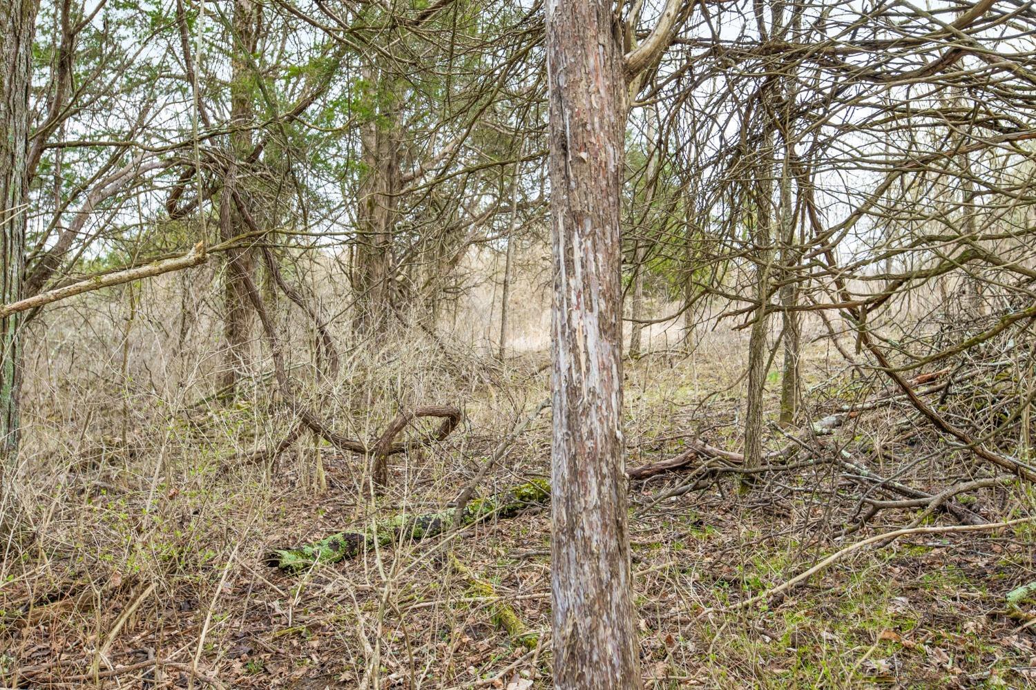 10.357-ac Cooper Road West Union, OH 45693 - Photo 8 of 20