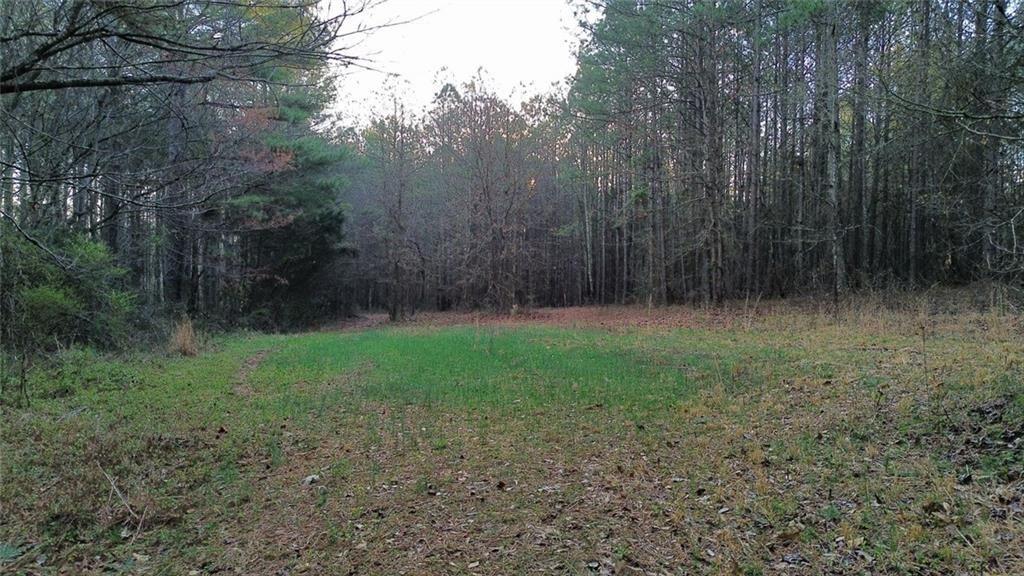 8165 Highway 81 Bethlehem, GA 30620 - Photo 1 of 17 a view of outdoor space and yard