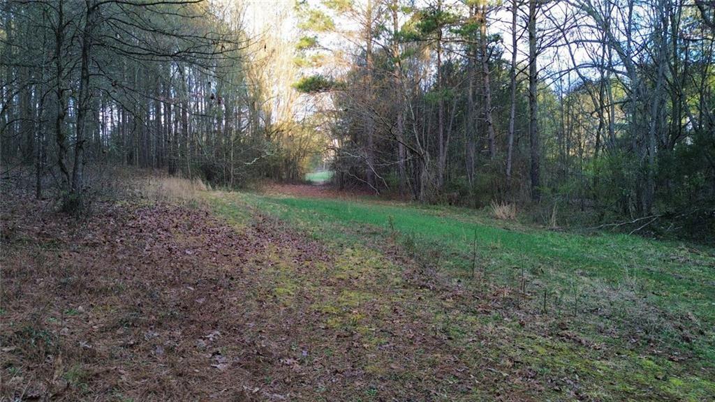 8165 Highway 81 Bethlehem, GA 30620 - Photo 11 of 17 a view of a yard with a tree