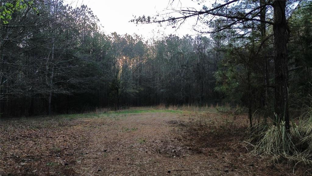 8165 Highway 81 Bethlehem, GA 30620 - Photo 13 of 17 a view of a yard