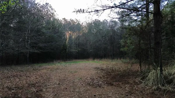 a view of a yard