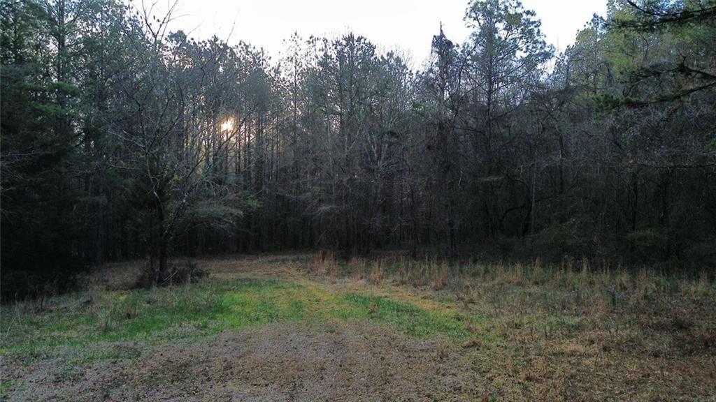 8165 Highway 81 Bethlehem, GA 30620 - Photo 14 of 17 a view of outdoor space and yard