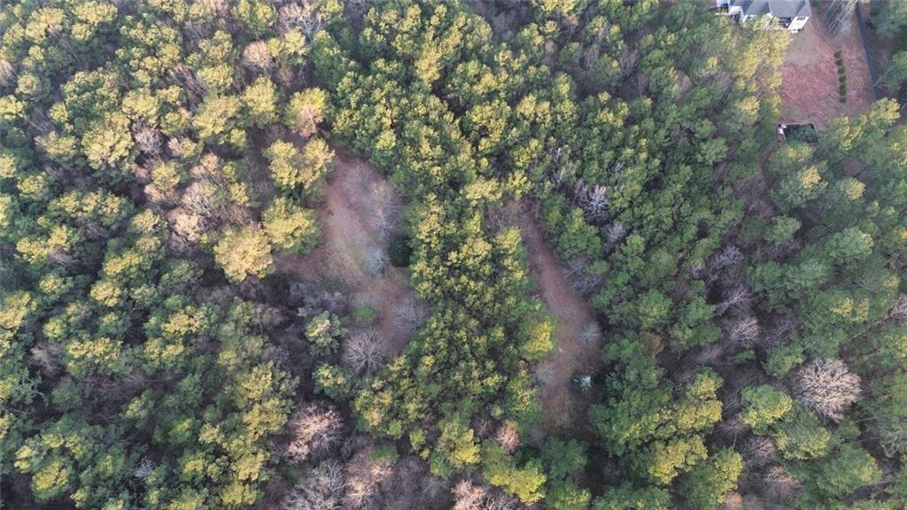 8165 Highway 81 Bethlehem, GA 30620 - Photo 16 of 17 a view of a tree