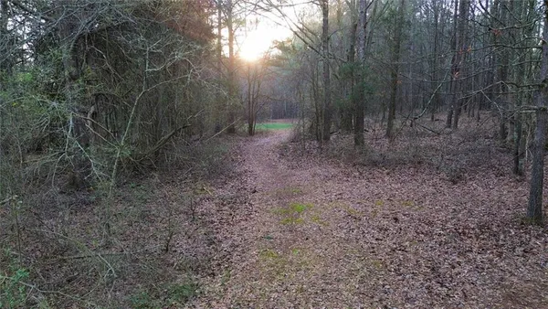a view of a yard with trees in the background