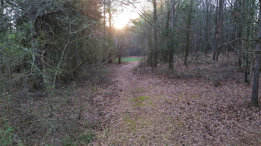 8165 Highway 81 Bethlehem, GA 30620 - Photo 5 of 17 a view of a yard with trees in the background