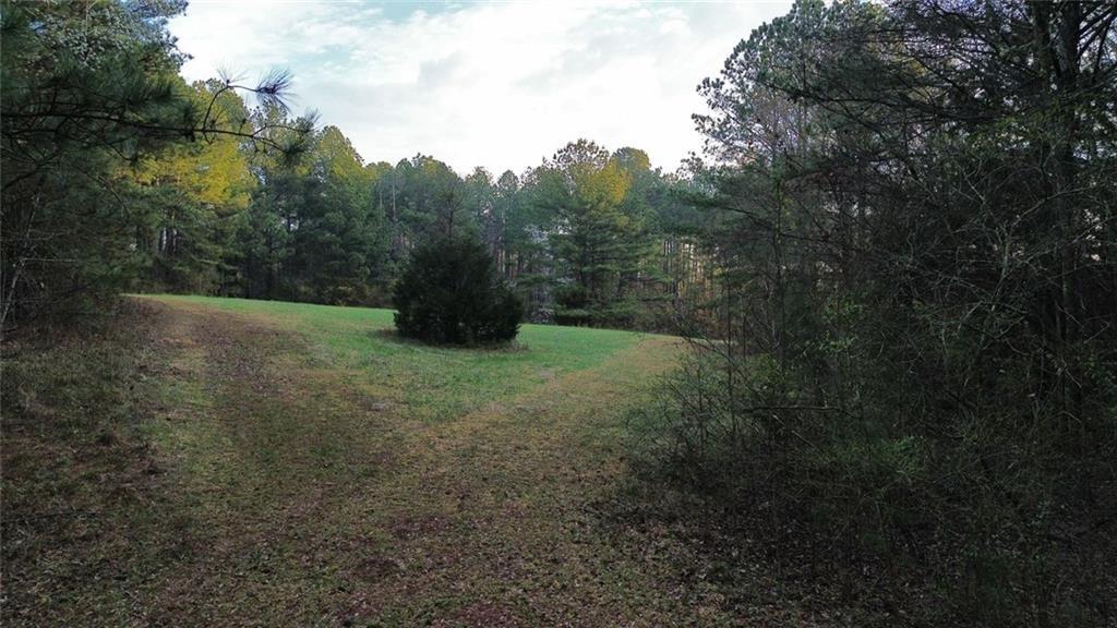 8165 Highway 81 Bethlehem, GA 30620 - Photo 6 of 17 a view of a field with trees in the background
