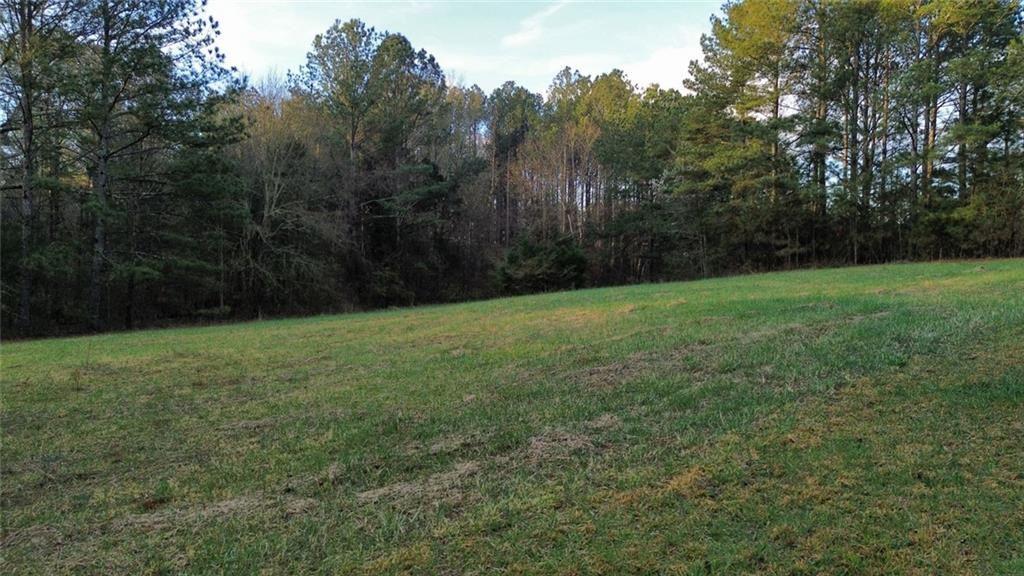 8165 Highway 81 Bethlehem, GA 30620 - Photo 7 of 17 a view of a yard with a tree