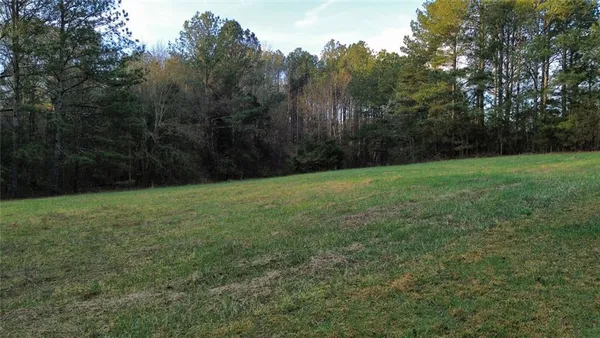 a view of a yard with a tree