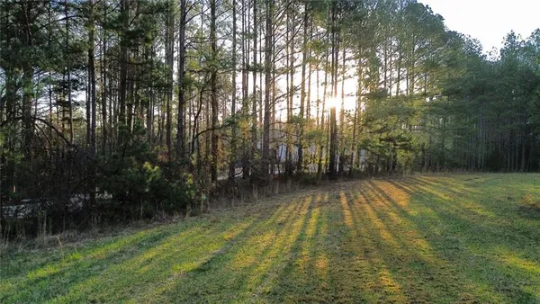 a view of backyard with green space