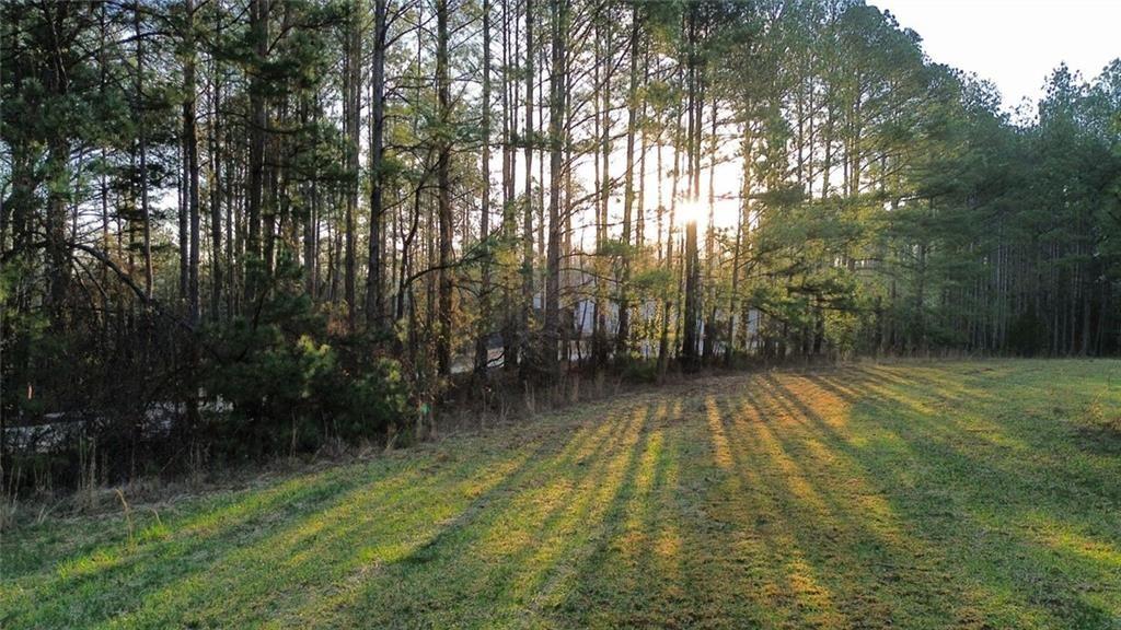 8165 Highway 81 Bethlehem, GA 30620 - Photo 8 of 17 a view of backyard with green space