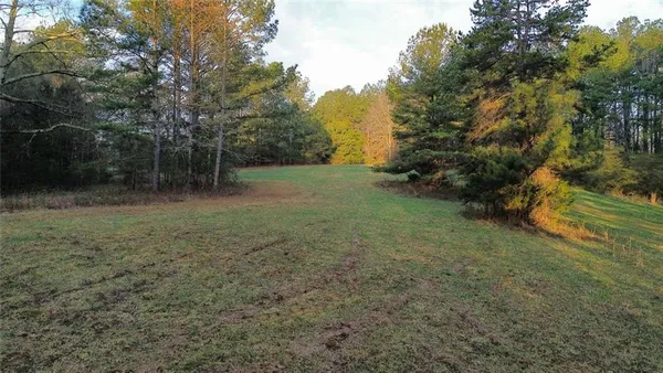 a view of a big yard with trees