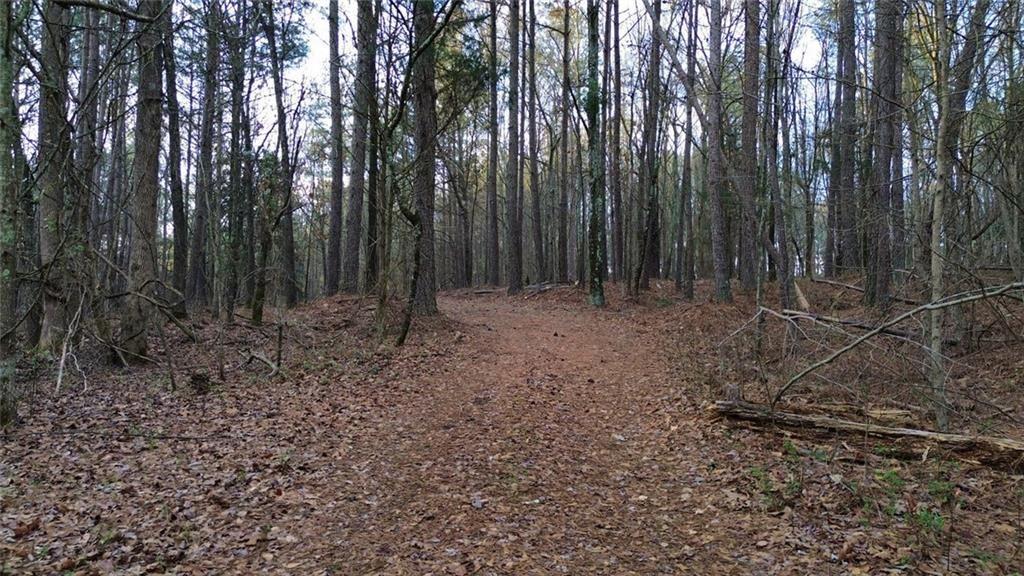 8165 Highway 81 Bethlehem, GA 30620 - Photo 10 of 17 a view of outdoor space with lots of trees