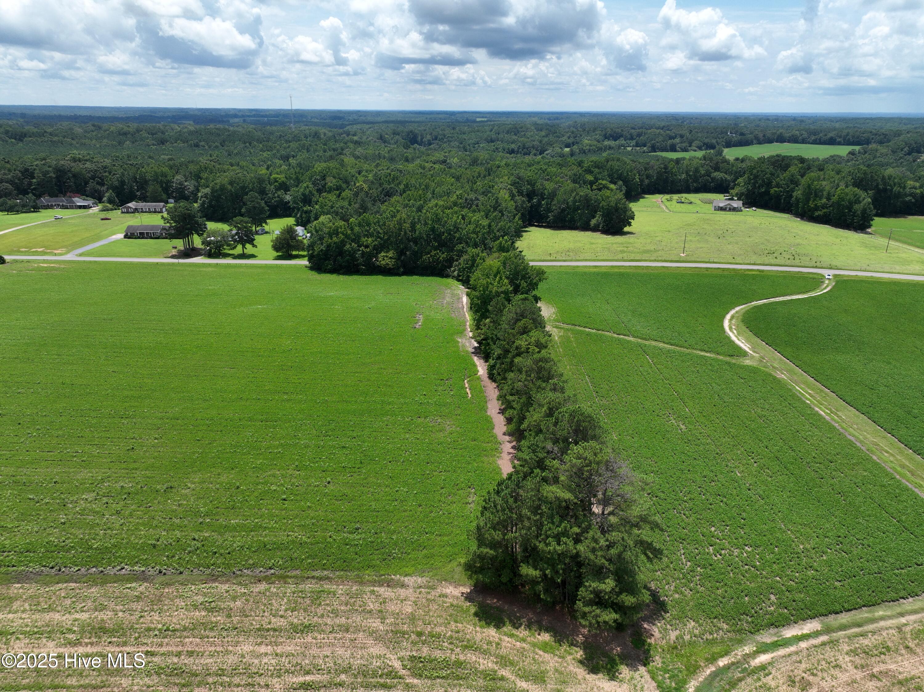 123 Opie Frazier Road Henderson, NC 27537 - Photo 10 of 12 12