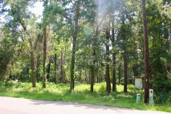 $70,000 | 410 Dogwood Trail, Conroe, TX 77316