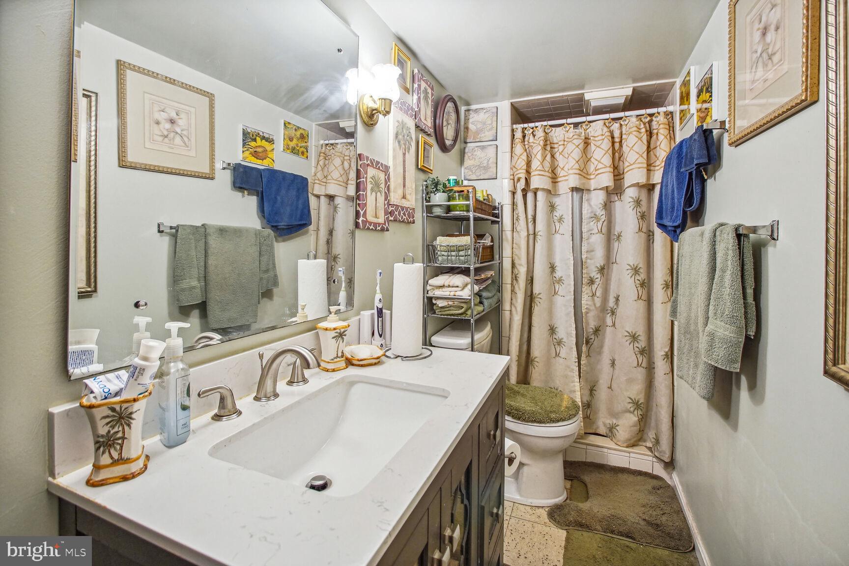 11202 Brandywine Road Clinton, MD 20735 - Photo 31 of 39 Basement Full Bathroom