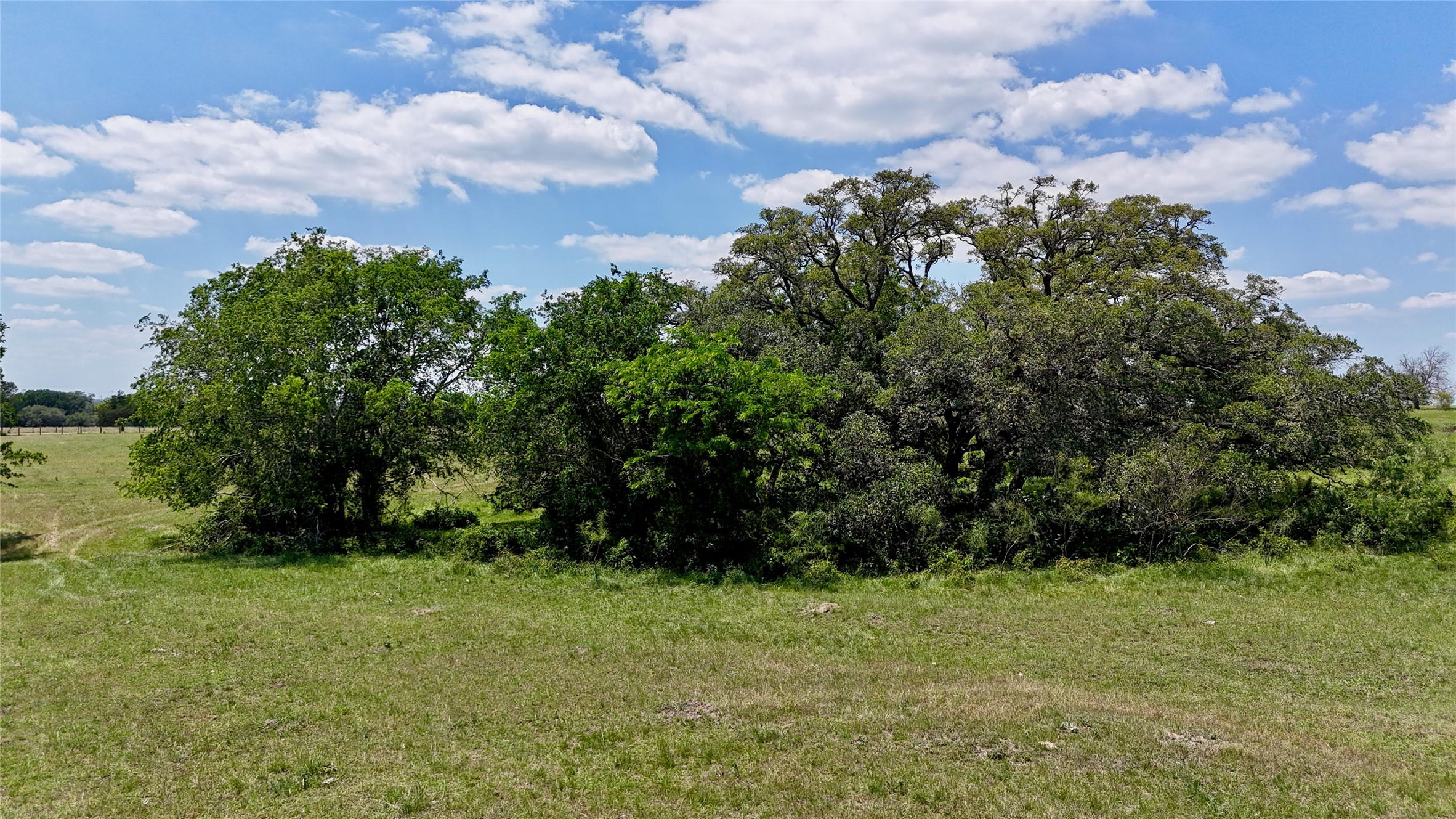 2072 Langdon Road Weimar, TX 78962 - Photo 8 of 18