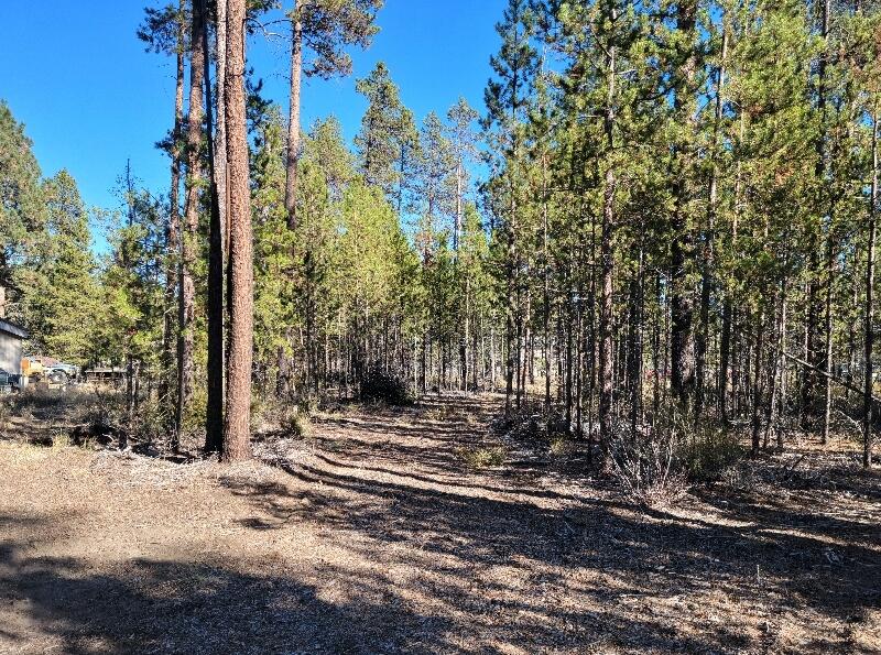 maintenance road circles around thru property.