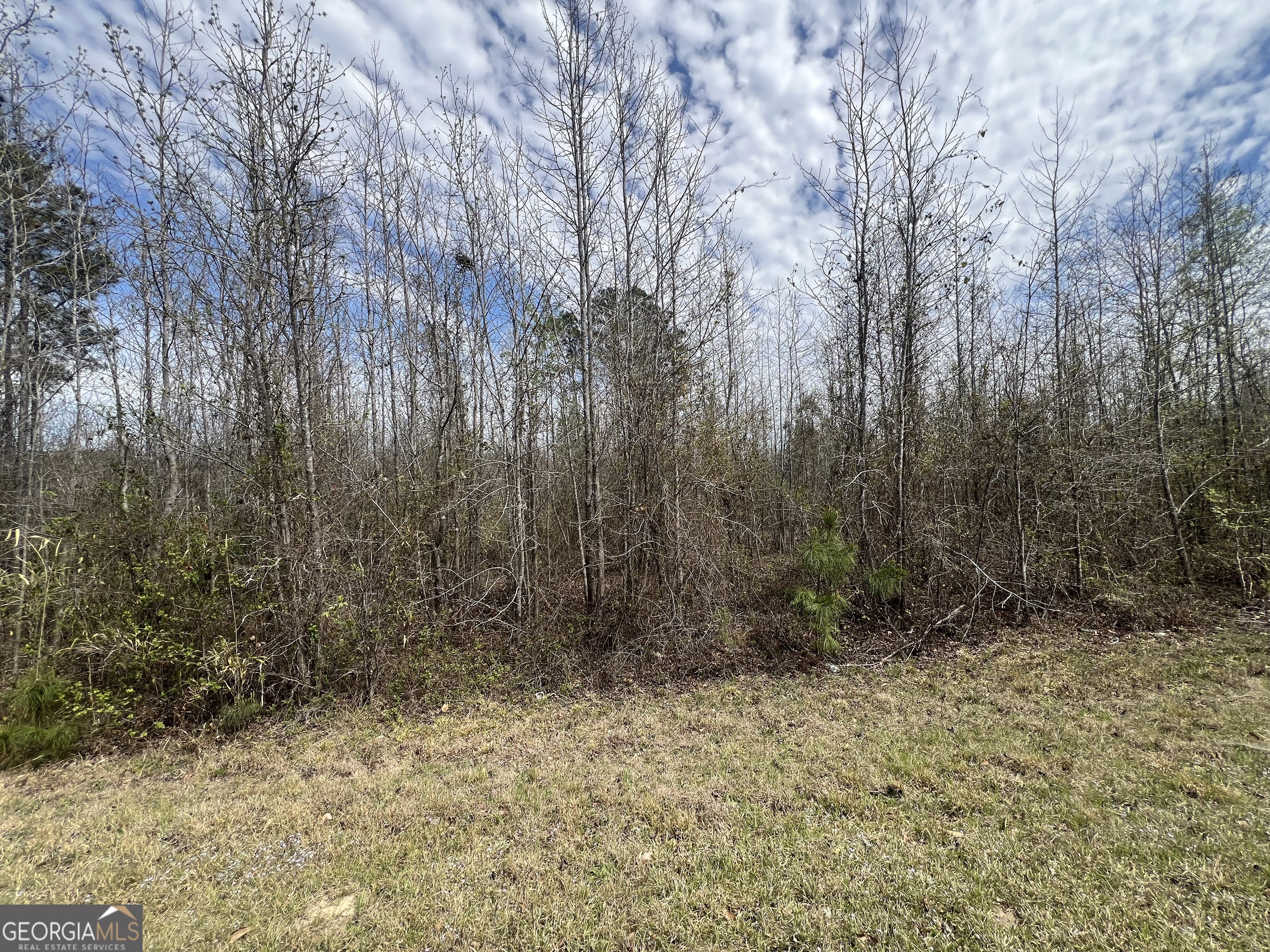 0 Marshall Church Road Thomson, GA 30824 - Photo 4 of 6