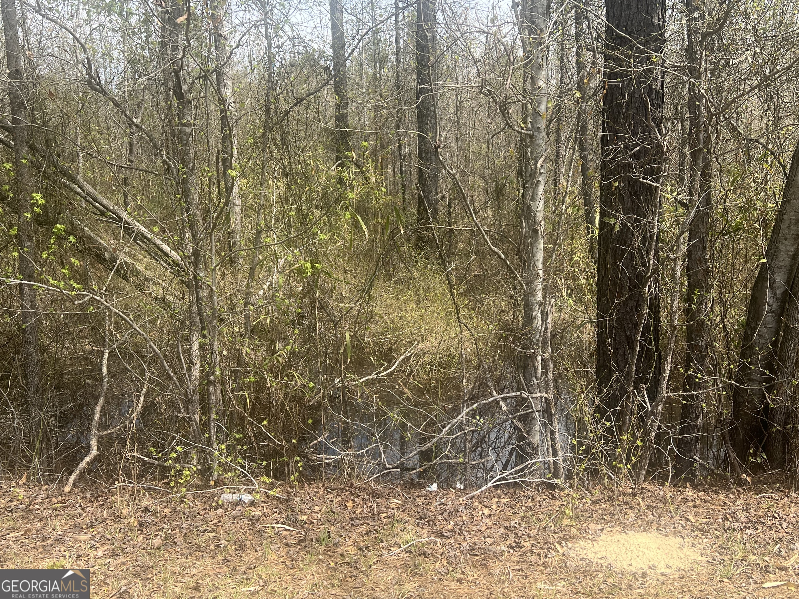 0 Marshall Church Road Thomson, GA 30824 - Photo 5 of 6