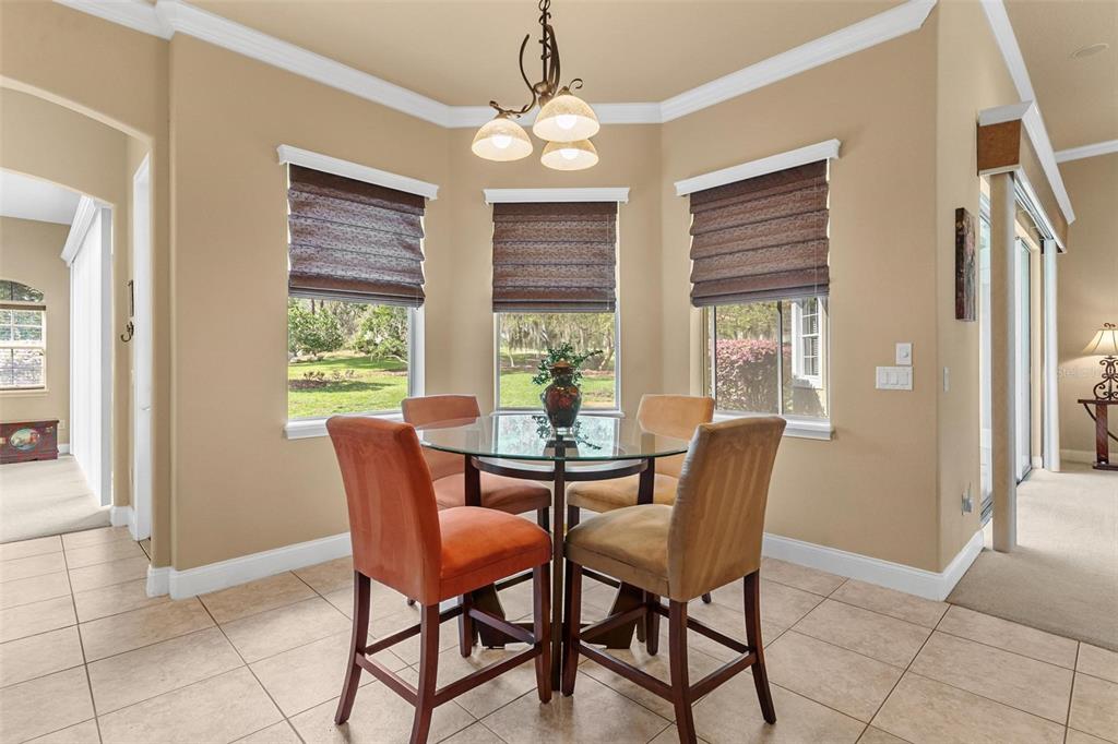 6053 Spinnaker Loop Lady Lake, FL 32159 - Photo 19 of 54