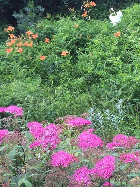 35 Mill Hill Road Wellfleet, MA 02667 - Photo 19 of 25 a view of a yard