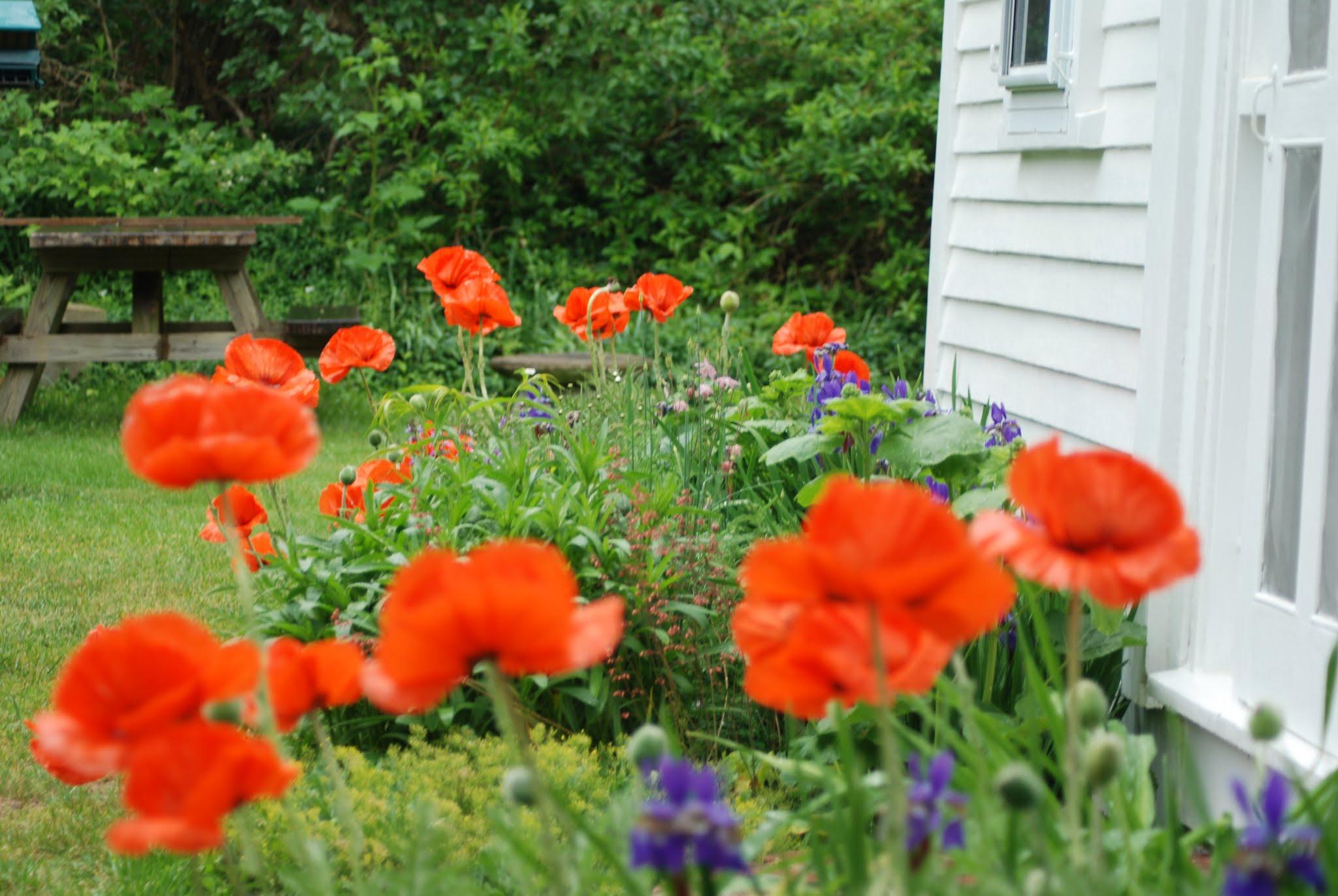 35 Mill Hill Road Wellfleet, MA 02667 - Photo 21 of 25 unknown