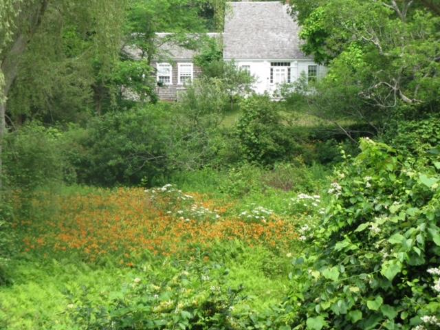 35 Mill Hill Road Wellfleet, MA 02667 - Photo 22 of 25 an aerial view of residential house with outdoor space and trees all around