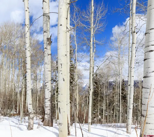 $299,000 | Tbd Story Fork Road, Durango, CO 81301