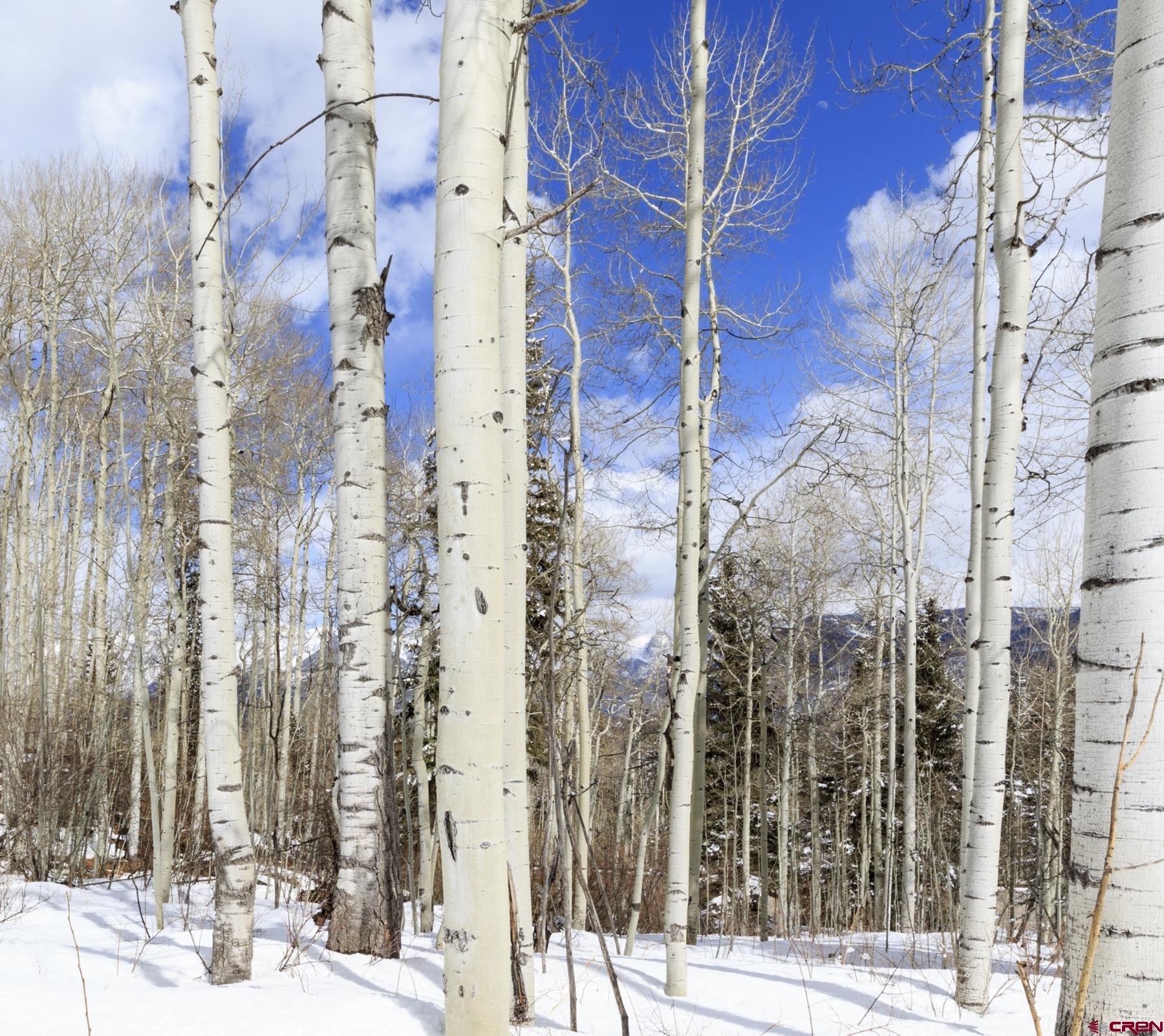 Tbd Story Fork Road Durango, CO 81301 - Photo 11 of 31