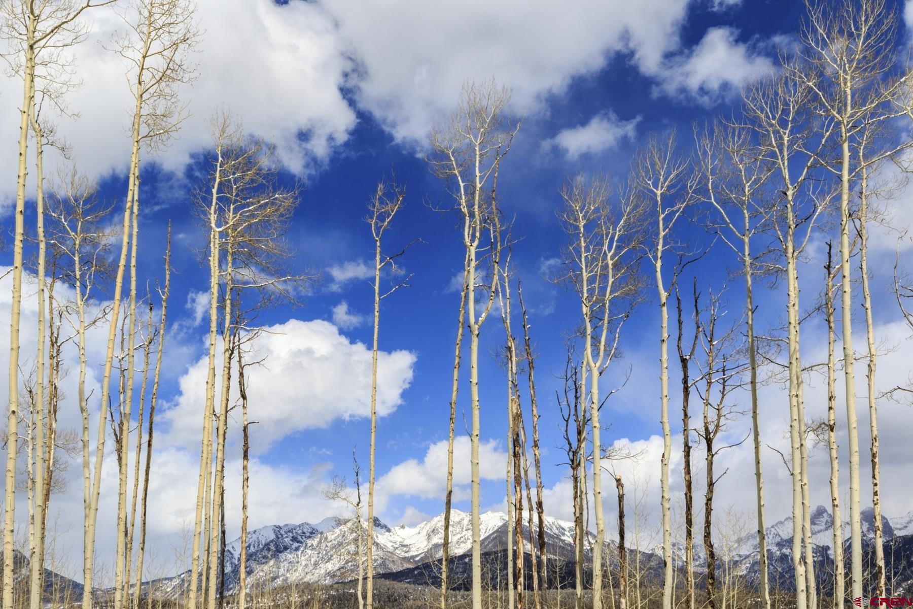 Tbd Story Fork Road Durango, CO 81301 - Photo 13 of 31