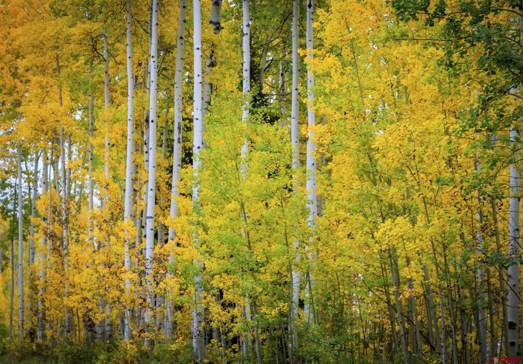 Tbd Story Fork Road Durango, CO 81301 - Photo 14 of 31