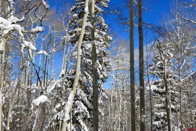 $299,000 | Tbd Story Fork Road, Durango, CO 81301