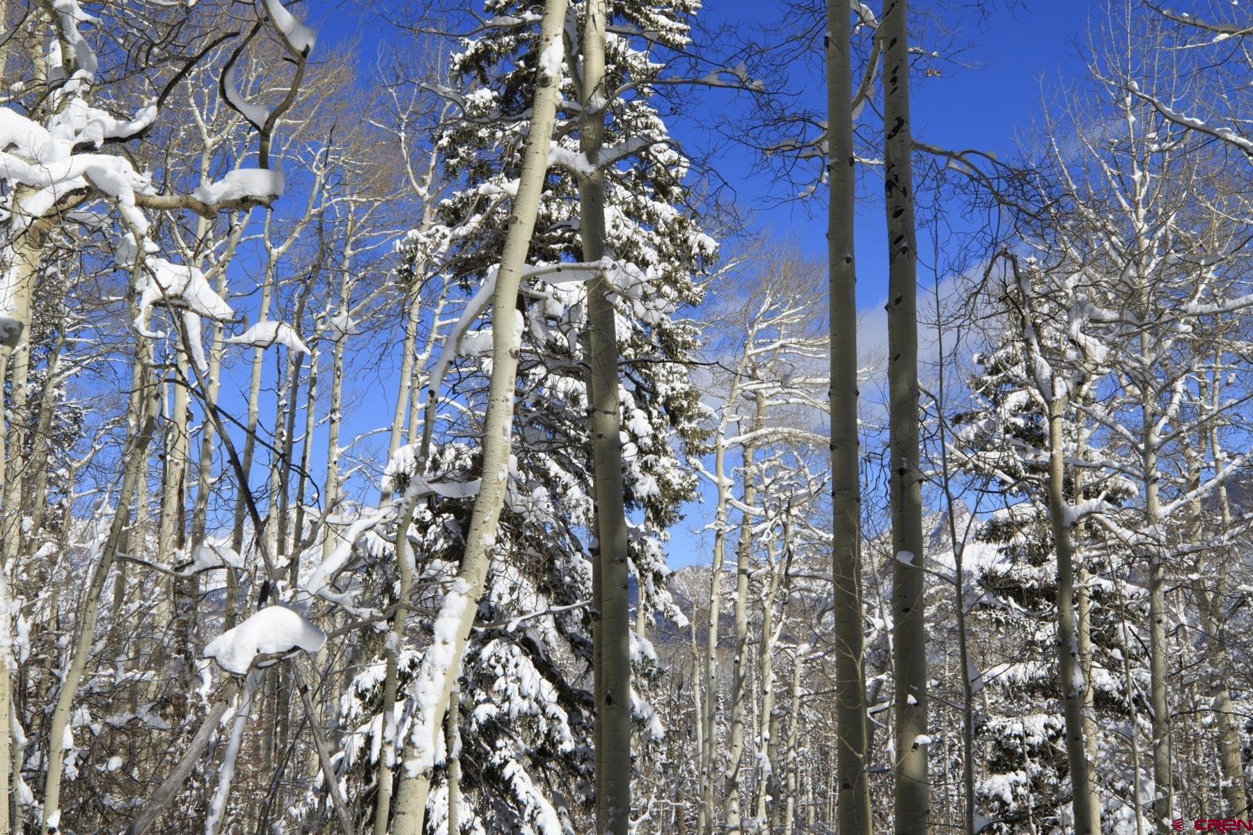 Tbd Story Fork Road Durango, CO 81301 - Photo 15 of 31