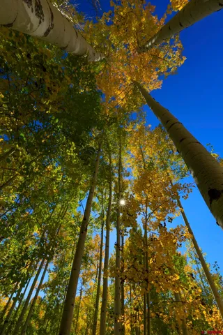 $299,000 | Tbd Story Fork Road, Durango, CO 81301